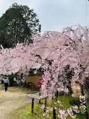 功山寺(山口県)