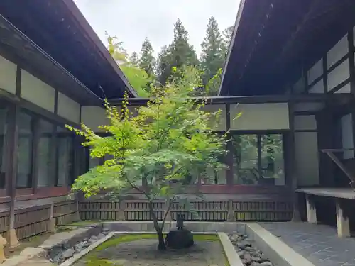 慈雲寺の庭園