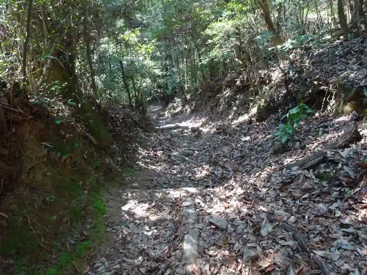 毘沙門窟の自然