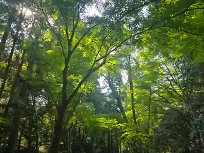 地藏院(京都府)