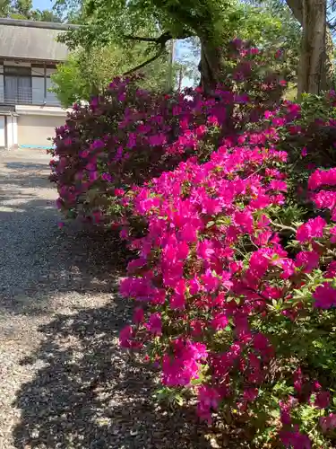 住吉神社(東京都)