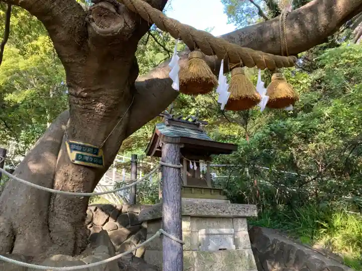 本牧神社の自然