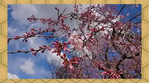 境香取神社(茨城県)