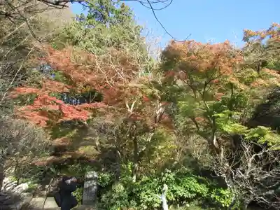妙本寺の自然