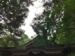 山神社の建物その他