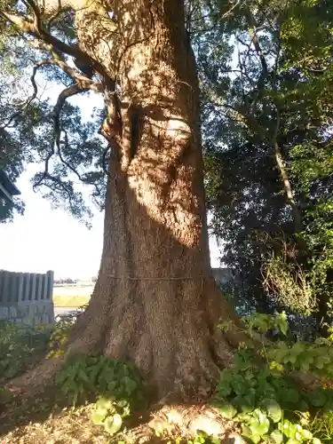 貴船神社の自然