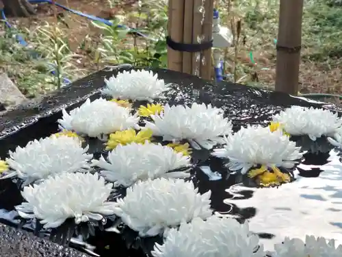 常立寺(神奈川県)