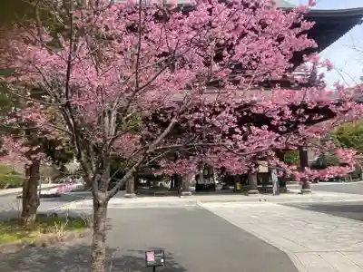 建長寺(神奈川県)