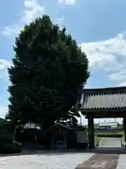 石雲寺(福島県)