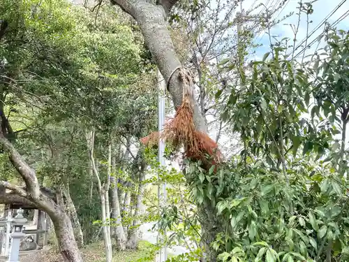 諏訪神社(滋賀県)