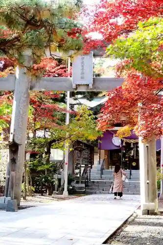 彌彦神社　(伊夜日子神社)の鳥居