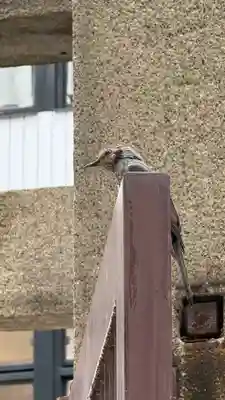難波神社(大阪府)
