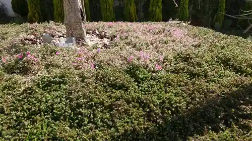 寿量山　速成寺の庭園