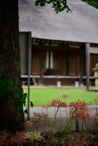 横浜　西方寺(神奈川県)