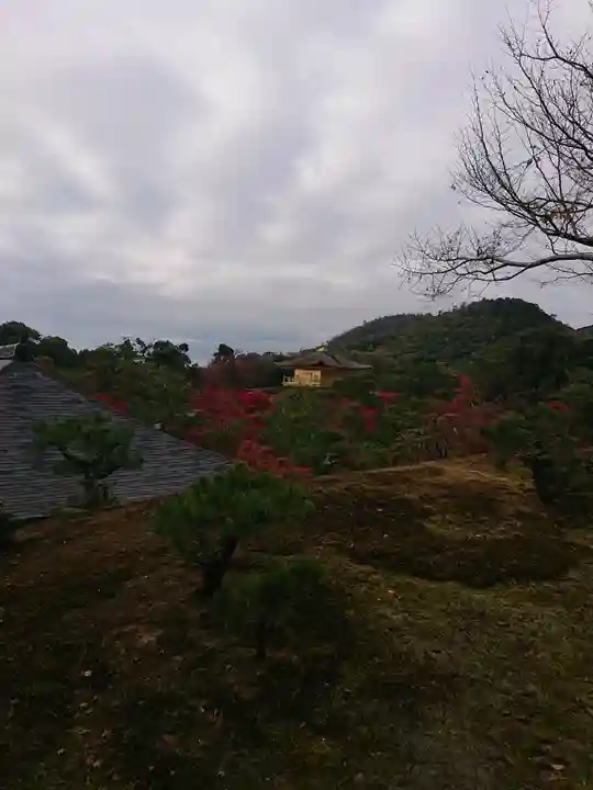 鹿苑寺(金閣寺)の自然