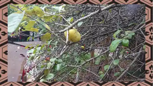 冠稲荷神社(群馬県)