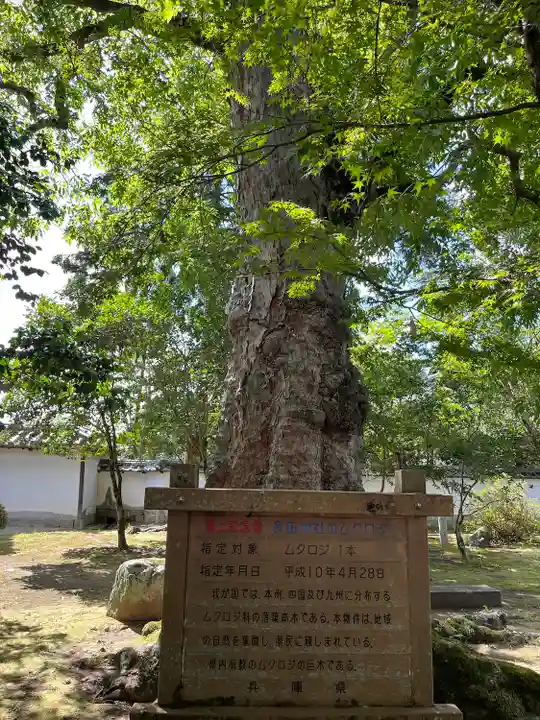 多田神社(兵庫県)