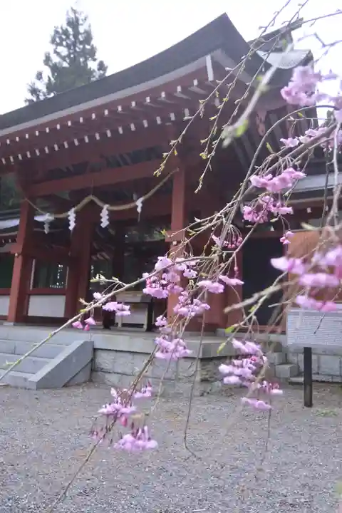 冨士御室浅間神社の本殿・本堂
