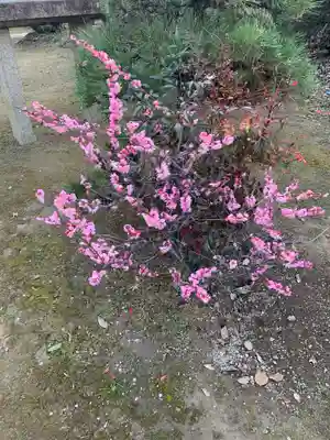天神社（井堀）の庭園
