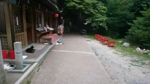 伏見稲荷大社(京都府)