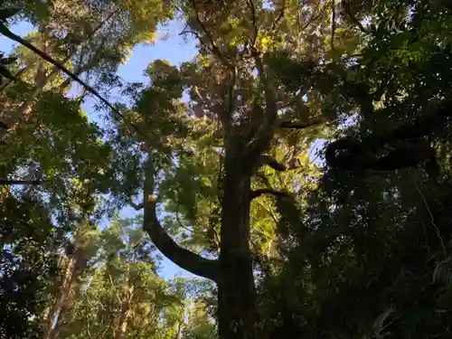 阿弥陀寺の自然