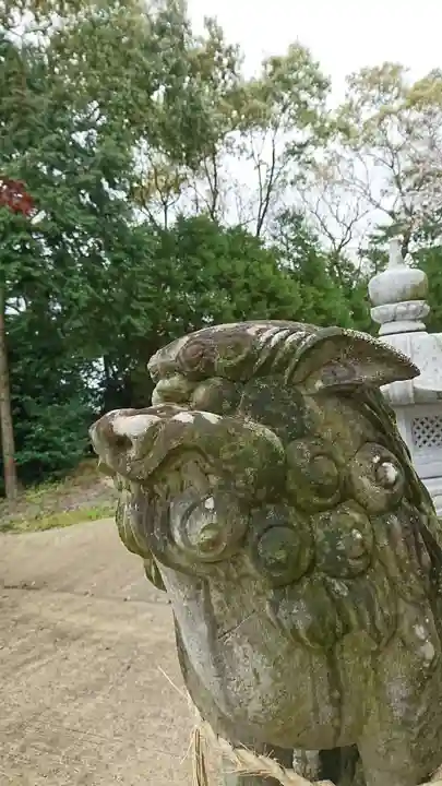 河内阿蘇神社の狛犬