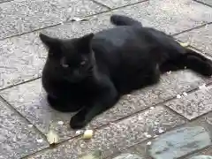 王子神社の動物