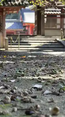 石清水八幡宮(京都府)