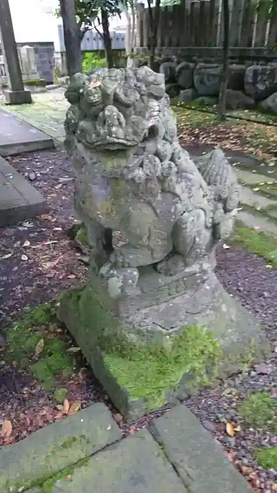神明神社(上総社)の狛犬