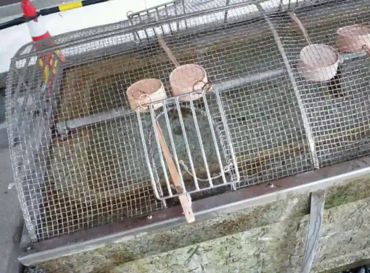 花園神社の手水舎