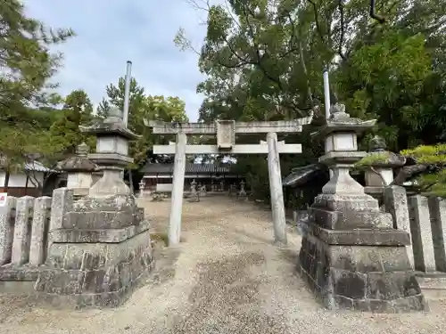 甲斐神社の鳥居