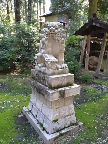 斐太神社の狛犬