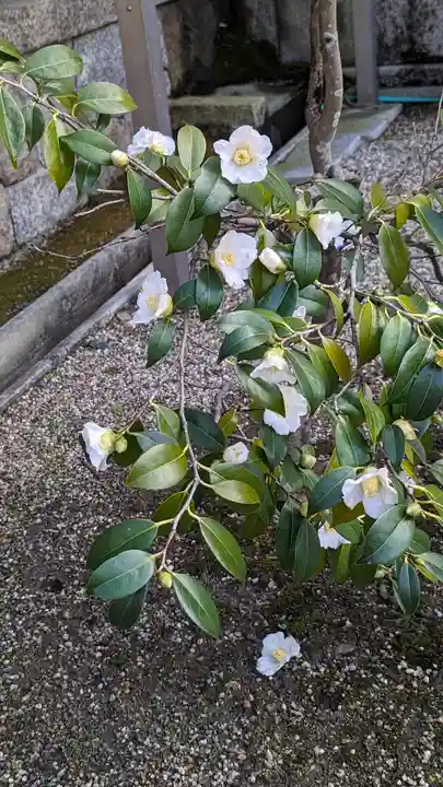 後白河院御聖蹟 法住寺(京都府)