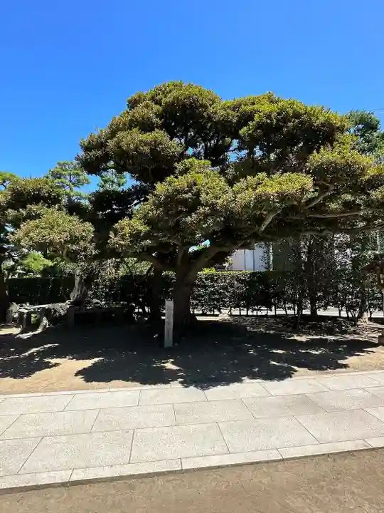 薭田神社(東京都)