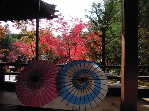 勝林寺(京都府)