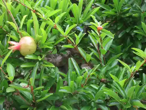 傳心寺(神奈川県)