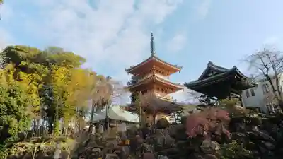 円福寺のその他建物