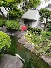 東光寺別院桜ヶ池不動院の動物