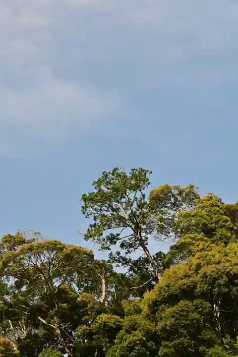神明神社(徳島県)