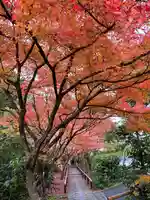 光悦寺(京都府)