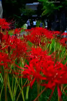 横浜　西方寺(神奈川県)