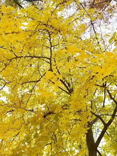 小野神社(東京都)