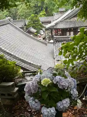 柳谷観音　楊谷寺　奥之院(京都府)