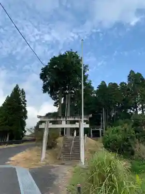 安房洲神社(千葉県)