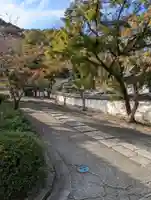 摩尼院(金剛寺子院)(大阪府)