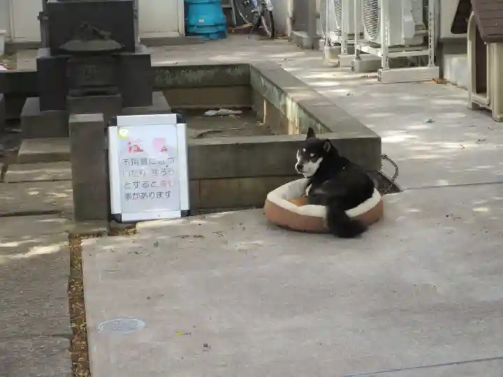 金嶺寺(東京都)