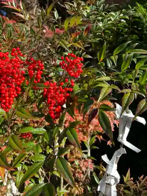 山科聖天 雙林院（双林院）　(京都府)