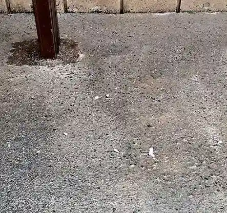 西方山極楽寺(岐阜県)