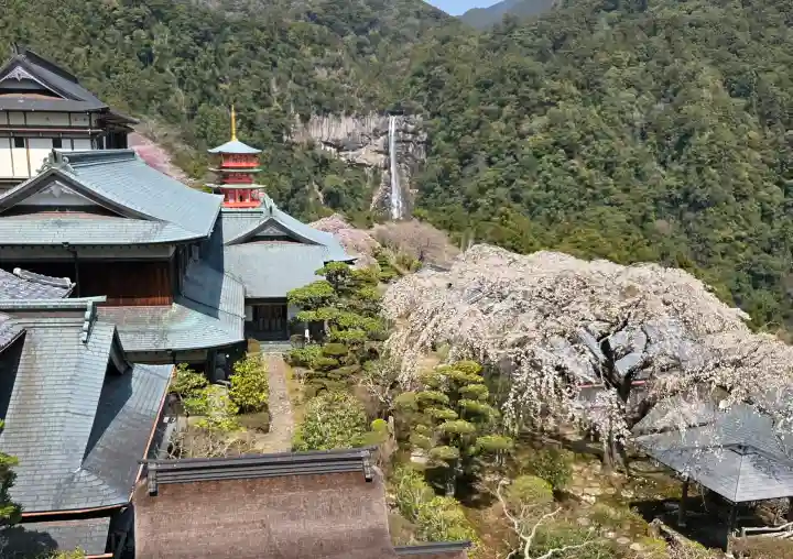 青岸渡寺の{uncategorized: "未分類", other: "その他", undefined: "問題あり", building: "その他建物", grave: "お墓", sacred_gate: "鳥居", guardian: "狛犬", statue: "像", buddha: "仏像", history: "歴史", nature: "自然", garden: "庭園", animal: "動物", pagoda: "塔", temizu: "手水舎", mountain_gate: "山門・神門", sanctuary: "本殿・本堂", subordinate: "末社・摂社", art: "芸術", scenery: "景色", jizo: "地蔵", ema: "絵馬", goshuin: "御朱印", omikuji: "おみくじ", items: "授与品その他", amulet: "お守り", goshuincho: "御朱印帳", eats: "食事", festival: "お祭り", votive_dance: "神楽", shichigosan: "七五三参", wedding: "結婚式", experience: "体験その他", initially: "初詣", around: "周辺", anti_infection: "感染症対策"}