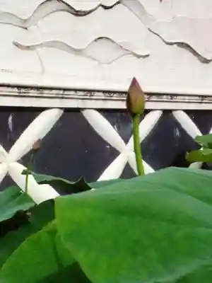 長善寺(東京都)